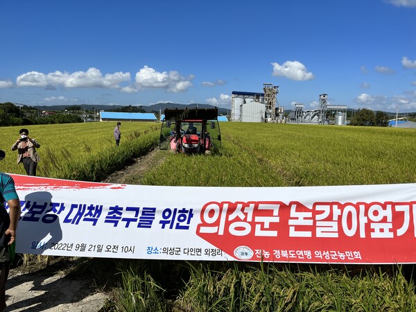 지난 9월 21일 상주와 의성에서 쌀값 대책을 촉구하는 논 갈아 엎기 투쟁이 진행되었다.