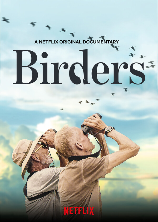 “하늘 높이-국경의 철새들” 포스터 이미지
